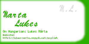 marta lukes business card